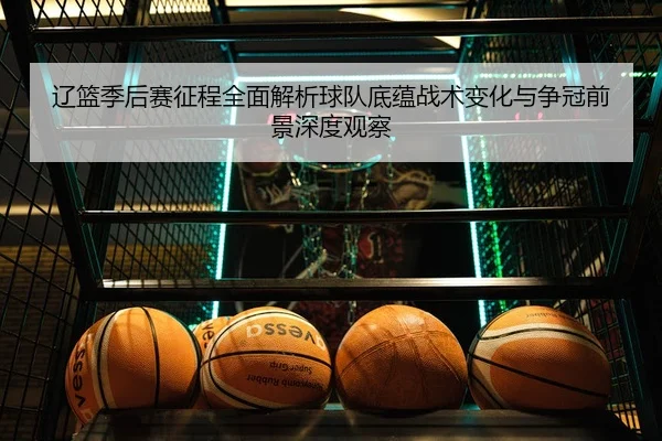 辽篮季后赛征程全面解析球队底蕴战术变化与争冠前景深度观察